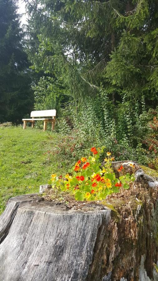 Appartement Leh Annaberg im Lammertal Exterior foto